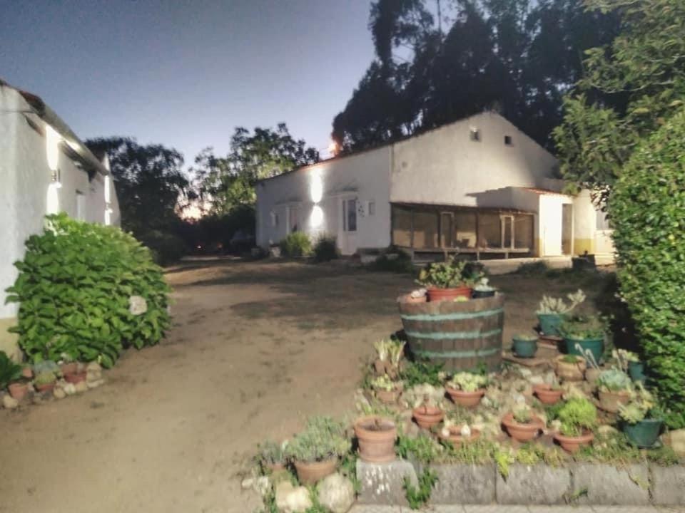 Quinta da Mesa Villa Macinhata do Vouga Bagian luar foto