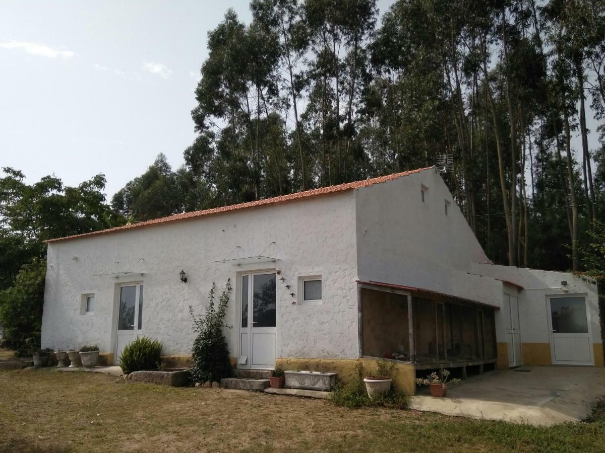 Quinta da Mesa Villa Macinhata do Vouga Bagian luar foto